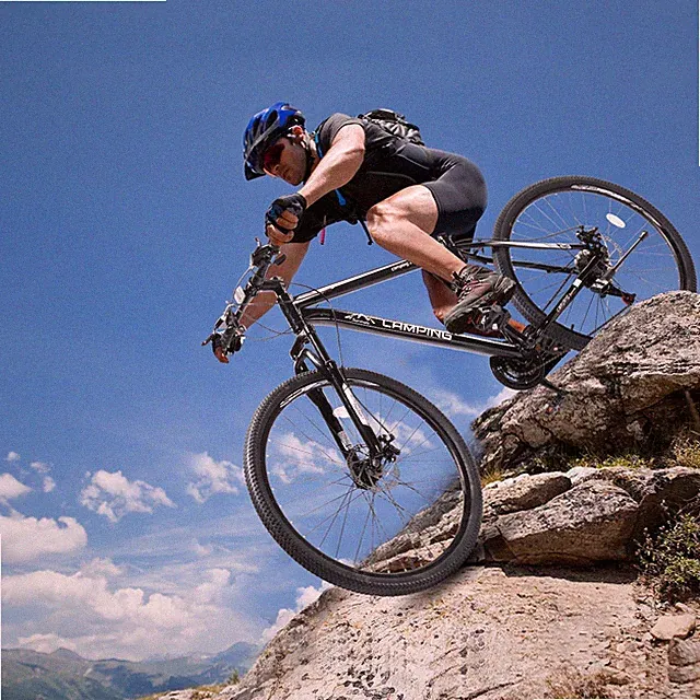 29In Mountain Bike Adult 21 Speed MTB Bicycle Men Women Disc Brakes Steel Black