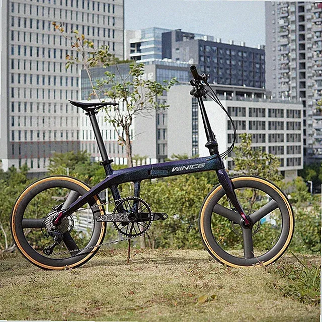 Dengf FD01 Folding Bike Adult Folding Bike Portable Bicycle Single Speed 20”inch