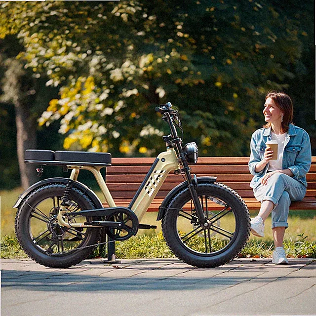 TST Electric Bike for Adults 1500W Peak 20" Electric Motorcycle for Adventure